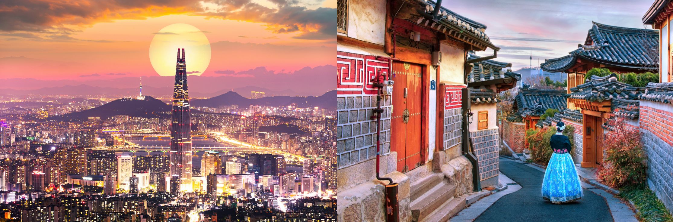 旅行つきプラン